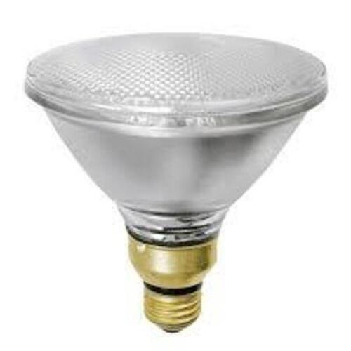 DESCRIPTION: (5) HALOGEN FLOOD LIGHT BRAND/MODEL: 250PAR38/FL RETAIL$: $36.05 EA SIZE: 250W QTY: 5