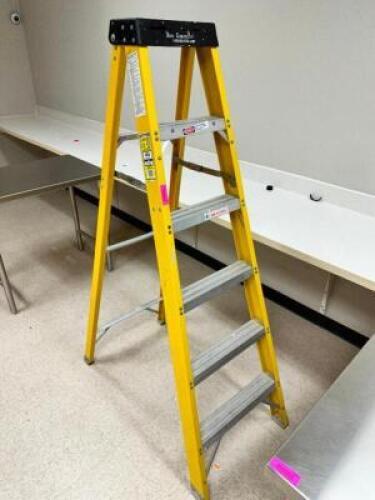 DESCRIPTION: WERNER 6' FIBERGLASS LADDER BRAND / MODEL: WERNER 6256 ADDITIONAL INFORMATION 300 LB. CAPACITY. SIZE 6' LOCATION: PHARMACY QTY: 1
