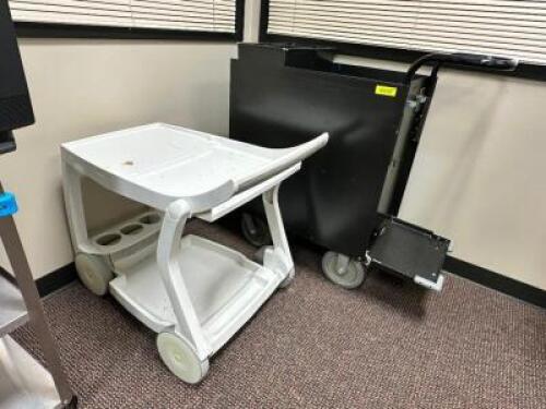(2) ASSORTED PLASTIC CARTS