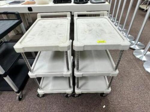(2) PLASTIC UTILITY CARTS