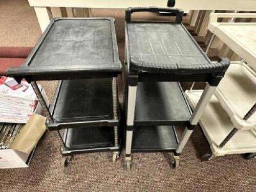 (2) PLASTIC UTILITY CARTS