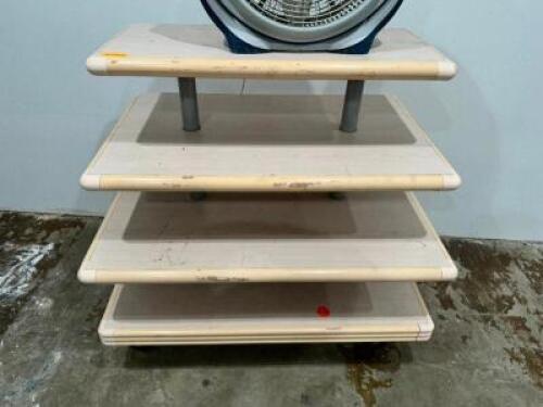 DESCRIPTION: FOUR TIER ROLL ABOUT FLOOR DISPLAY UNIT LOCATION: BACK WAREHOUSE QTY: 1