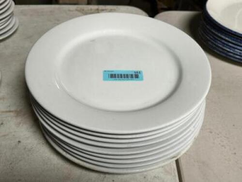 (10) 12" CHINA PLATES