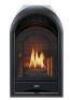 DESCRIPTION: (1) DUAL FUEL VENTLESS GAS FIREPLACE INSERT BRAND/MODEL: PROCOM #PCS150T INFORMATION: BLACK RETAIL$: $666.18 EA QTY: 1
