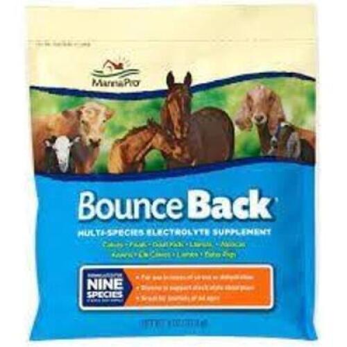 DESCRIPTION: (25) 4 OZ. BAGS OF BOUNCE BACK MULTI-SPECIES ELECTROLYTE SUPPLEMENT BRAND/MODEL: MANNAPRO RETAIL$: $4.25 EACH LOCATION: RETAIL SHOP QTY: