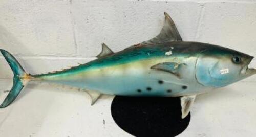 FISH DECORATION