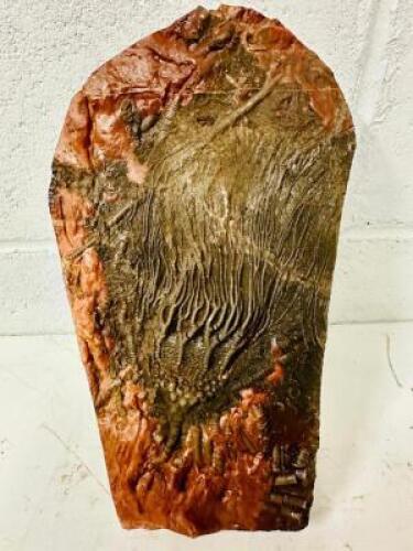 PENTACRINITES PREHISTORIC FOSSIL
