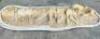 DESCRIPTION: PREHISTORIC VERTERBRAE FOSSIL FROM MOROCCO SIZE: 36"X12" QTY: 1 - 3