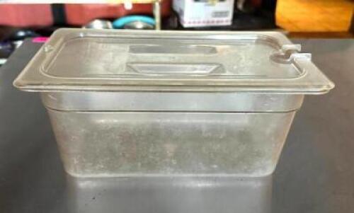 DESCRIPTION: (10) 1/3 SIZE PLASTIC INSERTS W/ LIDS SIZE: 6" DEEP