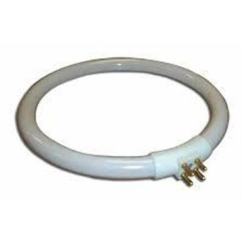 DESCRIPTION: (6) CIRCLINE FLUORESCENT LIGHT BULB BRAND/MODEL: ECLIPSE TOOLS #G1660117 INFORMATION: T4 RETAIL$: $9.54 EA SIZE: 22 WATT, 6500K QTY: 6