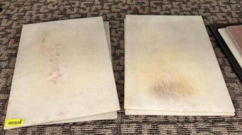 DESCRIPTION: (4) 18" X 24" CUTTING BOARDS LOCATION: MAIN HALL THIS LOT IS: SOLD BY THE PIECE QTY: 4