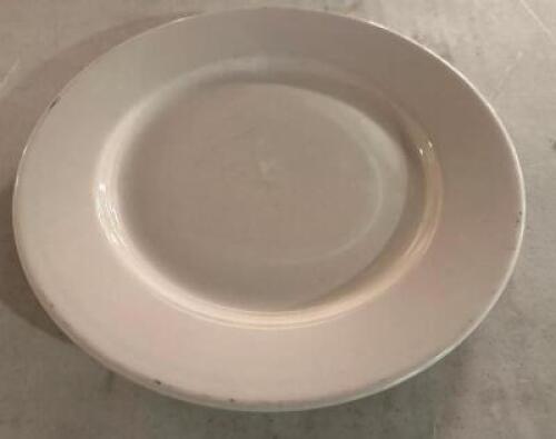 DESCRIPTION: (24) 10" CHINA PLATES LOCATION: MAIN HALL THIS LOT IS: SOLD BY THE PIECE QTY: 24