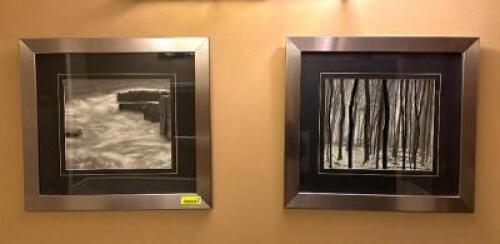 DESCRIPTION: (2) FRAMED PRINTS SIZE: 24.5"X23" LOCATION: WOMENS BATHROOM QTY: 2