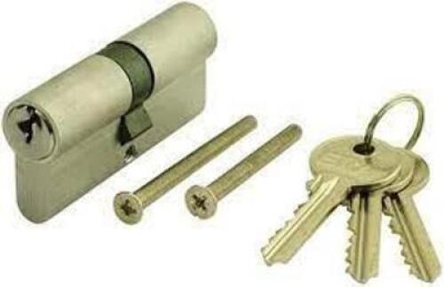 (5) EURO PROFILE CYLINDER LOCKING