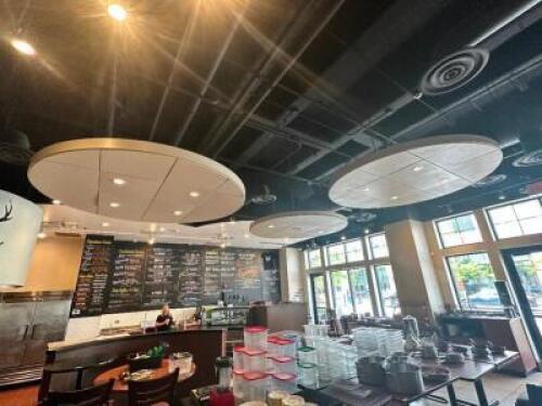 DESCRIPTION: (3) PENDANT CLOUD LIGHTING FIXTURES. 9', 8', 6' CIRCLES W/ LIGHTING. ADDITIONAL INFORMATION SEE ADDITIONAL PHOTOS LOCATION: FRONT QTY: 1