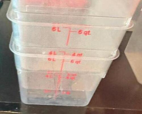 DESCRIPTION: (3) 6 QT PLASTIC CONTAINERS - NO LIDS SIZE 6 QT LOCATION: FRONT THIS LOT IS: SOLD BY THE PIECE QTY: 3