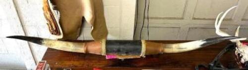56" STEER HORN MOUNT