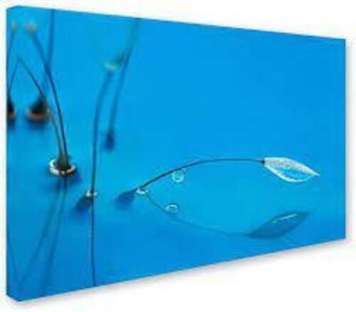 DESCRIPTION: (1) BLUE WATER CANVAS ART WALL PAINTING BRAND/MODEL: PAINTED BY HEIDI WESTRUM INFORMATION: BLUE SIZE: 30" X 47" RETAIL$: $122,33 EA QTY: