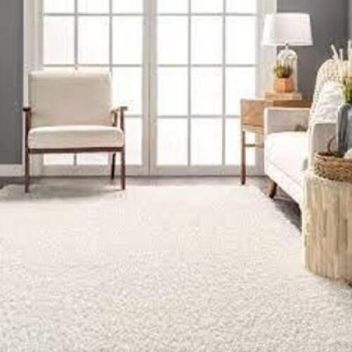 DESCRIPTION: (1) AREA RUG BRAND/MODEL: ARGO FLEECE #JHWT01A INFORMATION: WHITE SIZE: 4X6 RETAIL$: $85.00 EA QTY: 1