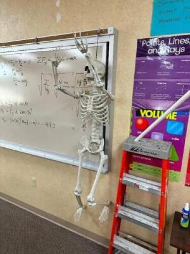 SKELETON DECORATION