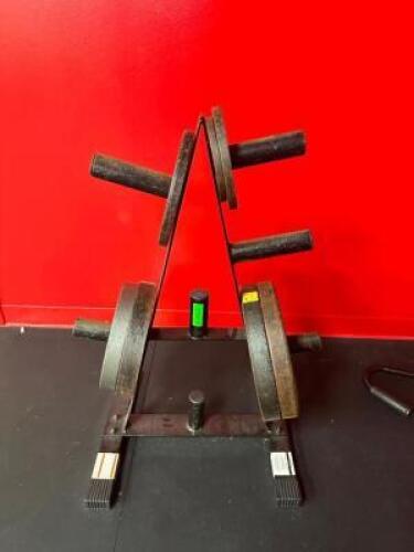 WEIGHT RACK WITH CONTENTS