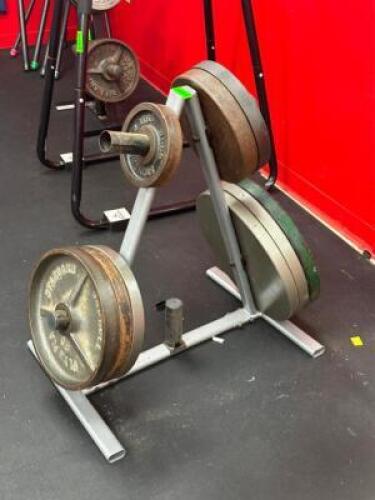WEIGHT RACK WITH CONTENTS