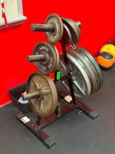 WEIGHT RACK WITH CONTENTS