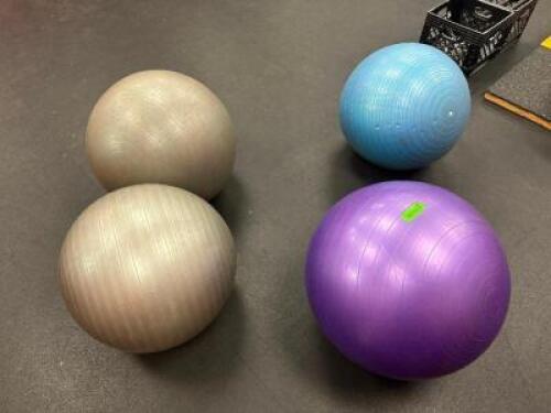 EXERCISE BALL SET