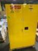 (1) EAGLE FLAMMABLE LIQUID SAFETY CABINET - 2