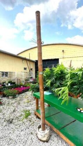 DESCRIPTION: LARGE BAMBOO POLE SIZE: 10'X5" QTY: 1