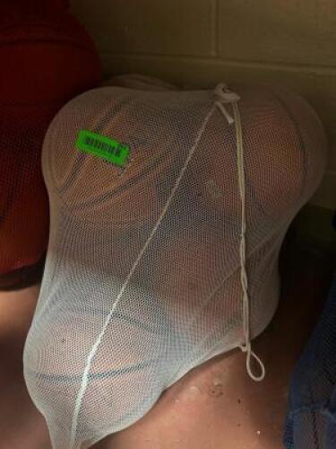 LARGE BAG OF BASKETBALLS