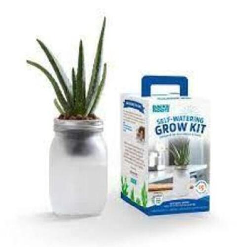 DESCRIPTION: (1) SELF WATERING GROW KIT BRAND/MODEL: BACK TO THE ROOTS RETAIL$: $12.00 EA QTY: 1