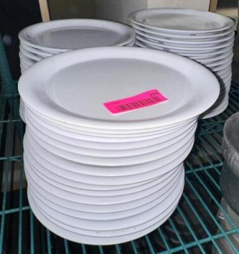 (40) 10" PLASTIC PLATES