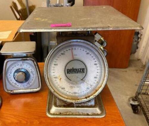 (2) ASSORTED PORTION SCALES