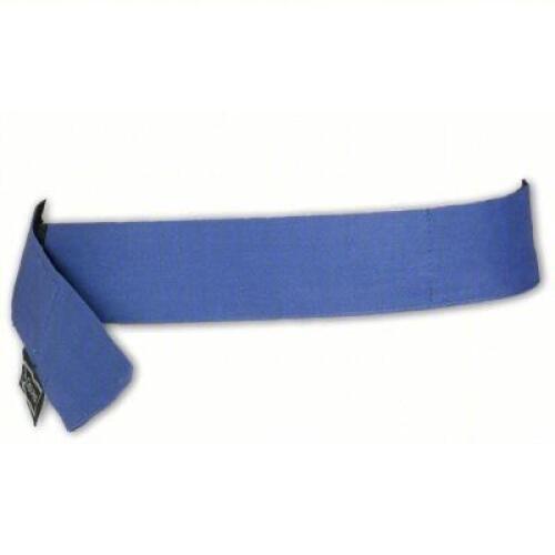 DESCRIPTION: (6) EVAPORATIVE COOLING BANDANA BRAND/MODEL: CHILL-ITS #16V843 INFORMATION: BLUE SIZE: UNIVERSAL RETAIL$: $7.54 EA QTY: 6