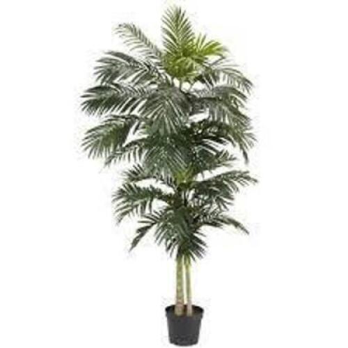 DESCRIPTION: (1) ARTIFICIAL TROPICAL TREE BRAND/MODEL: NEARLY NATURAL INFORMATION: MUST COME INSPECT SIZE: 48" RETAIL$: $109.00 EA QTY: 1