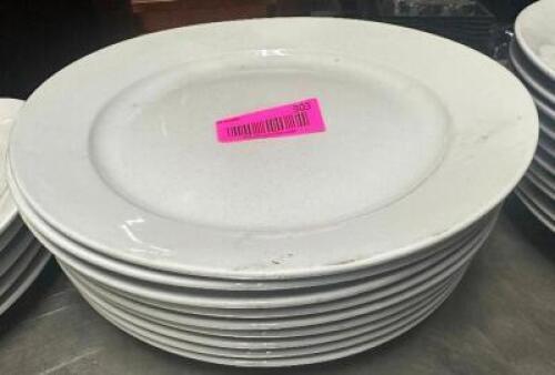 (10) 11" CHINA PLATES