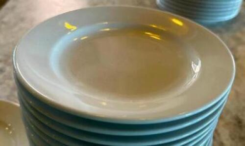 DESCRIPTION: (12) 7" CHINA PLATES SIZE 7" LOCATION: BAR / MAIN FLOOR THIS LOT IS: SOLD BY THE PIECE QTY: 12