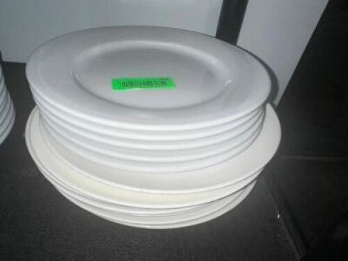 DESCRIPTION: (10) 11" CHINA PLATES LOCATION: BASEMENT THIS LOT IS: SOLD BY THE PIECE QTY: 10