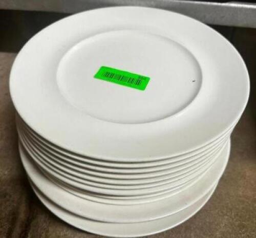 DESCRIPTION: (24) 11" CHINA PLATES LOCATION: BASEMENT THIS LOT IS: SOLD BY THE PIECE QTY: 24