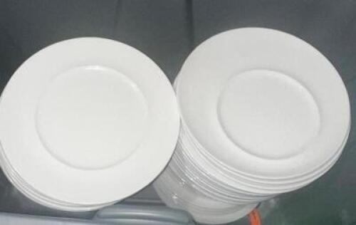 DESCRIPTION: (36) 11" CHINA PLATES BRAND / MODEL: VILLROY AND BOCH LOCATION: BASEMENT THIS LOT IS: SOLD BY THE PIECE QTY: 36