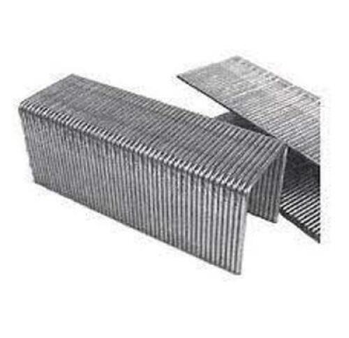 (1) BOX OF APPROX (2000) CROWN STAPLES