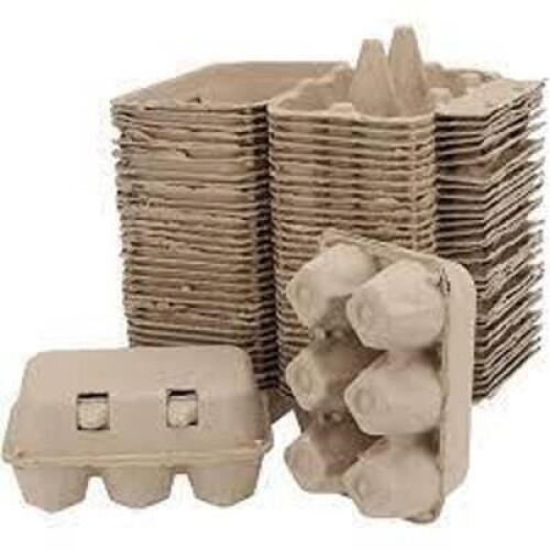 (1) CASE OF (20) EGG CARTONS