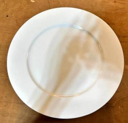 (12) 14" CHINA PLATES