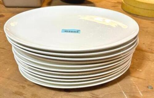 (12) 14" CHINA PLATES