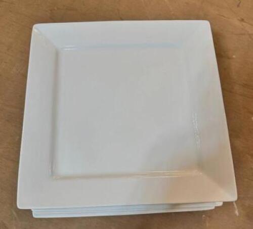 (12) 18" CHINA PLATTERS