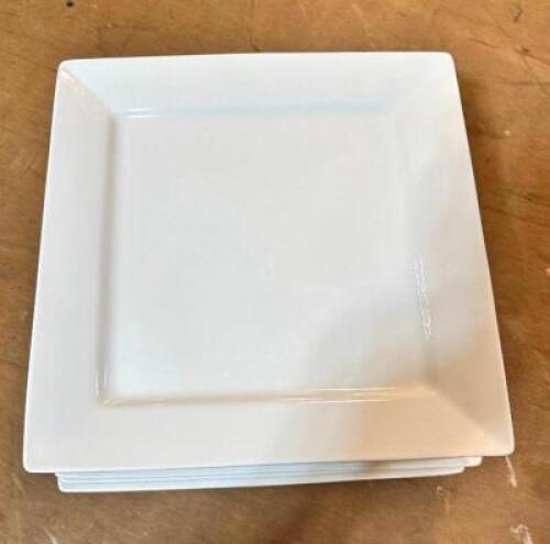 (12) 12.5" X 12.5" CHINA PLATES