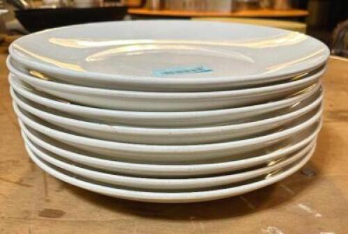 (8) 14" CHINA PLATES