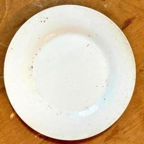 (15) 12" CHINA PLATES