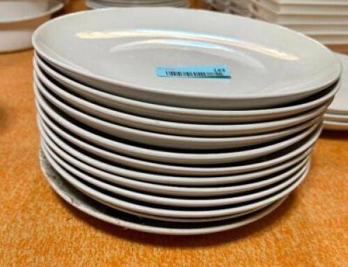 (12) 10.5" CHINA PLATES
